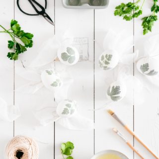 Oeufs verts - Chimie et mésaventures de Pâques 🐣
Dans les petits plaisirs de Pâques, il y a décorer et teindre les oeufs avant de les cacher. Cette année, je suis rentrée des courses avec un gros carton de 9 oeufs blancs, un chou rouge, du curcuma et quelques paquets d’herbes fraiches pour la décoration, avec l’idée de faire des oeufs verts. 
Pour la teinture naturelle des oeufs, il a les couleurs faciles: brun pelure d’oignon, bleu chou rouge, jaune curcuma… Et vert désespoir! Vert-épinard: une poignée ou 1 kilo ça ne sera jamais vraiment vert. Vert-ortie: je ne m’y piquerai pas. Vert-chou rouge et curcuma: LA recette testée et approuvée.
Alors pourquoi chimie et mésaventures? De 1: parce que comme en cuisine, pourquoi faire toujours la même recette alors qu’il y en a plein d’autres à essayer? Et comme à mon habitude, je me suis mise en quête de nouvelles techniques. Vert-chou rouge et bicarbonate!
1️⃣ Le chou rouge peut changer de couleur lorsqu'il est exposé à des substances acides ou basiques.
2️⃣ Le bicarbonate de soude est une base.
3️⃣ Le chou rouge peut devenir vert grâce aux anthocyanes, des pigments naturels qui changent de couleur en fonction du pH.
Ça fonctionne super sur le papier, littéralement… Mais sur les oeufs, ça ne fonctionne pas du tout!
De 2, mésaventures au pluriel! J’ai pris un des oeufs de la boîte pour faire des boulettes de viande. En sortant les 8 oeufs restants, il y en avait 2 cassés. Par acquit de conscience j’ai fait moitié chou-curcuma, moitié chou-bicarbonate. Résultat, plus que 3 oeufs à cacher… Heureusement que le balcon est tout petit. 
///// Vite! À table! /////
 
#Pâques #OeufsTeints #Vert #TeintureNaturelle #DIYPâques #CuisineEtChimie #TeintureVégétale 
#GreenEaster #CuisineNaturelle #RécitDeCuisine #RecetteTraditionnelle #CuisineDeMaman #CuisineDeSaison #FaitMaison #RecetteFacile #PhotoCulinaire #Homemade #FoodPhotography #FoodStyling #FoodBlogger #Foodie #Instafood #Miam #BonAppetit #MonCarnetDeRecettes
